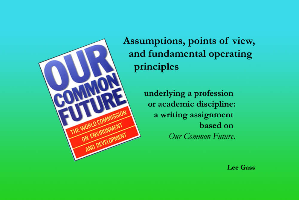 Assumptions, Points of View, and Fundamental Operating Principles