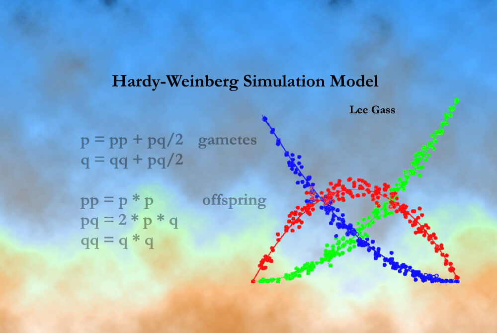 Hardy-Weinberg Simulation Model
