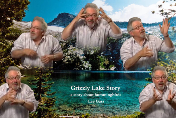 Grizzly Lake story